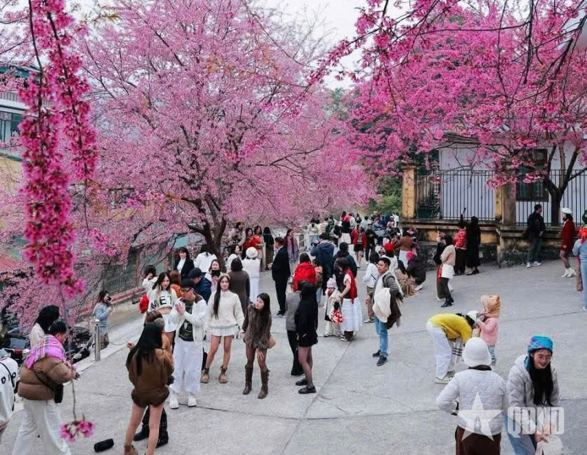 Du khách tấp nập lên vùng cao Tuyên Quang dịp Tết Dương lịch

